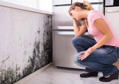 Wft schadeverzekeringen particulieren